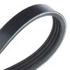 febi bilstein 28769 Auxiliary Belt, pack of one, schwarz