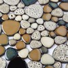 Parrotile Pebble Shower Floor Tile Bathroom Beige Wall Backsplash Mosaic