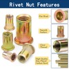ZAMBASE Rivet Nut 3/8"-16UNC 40Pcs Yellow Zinc Plated Finish Flat