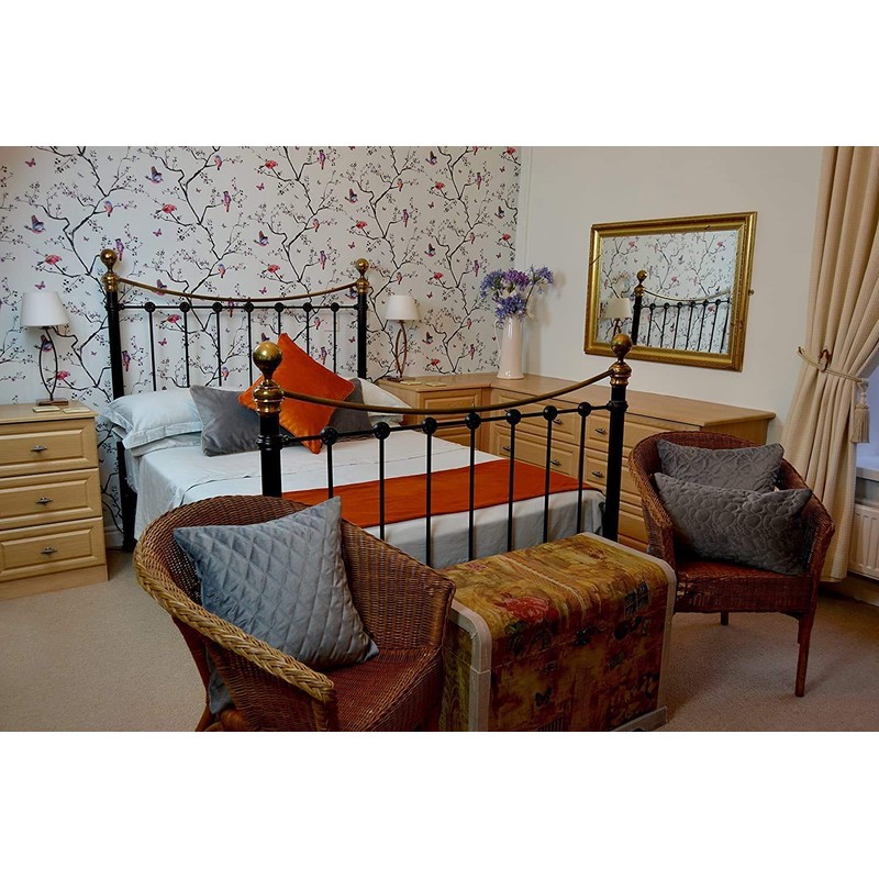 McAlister Textiles Matt Velvet Cushions and Covers, 50 x 50