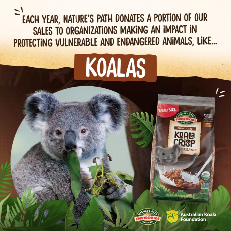 EnviroKidz Organic Koala Crisp Cereal, 25.6 oz (Pack of 6),