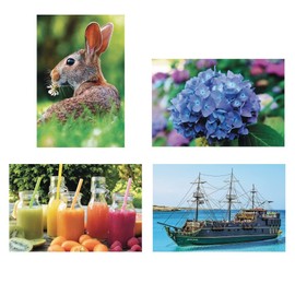 Thera-Jigsaw Foam Puzzles Set: Boat, Rabbit, Juice, and Hydrangea (Set of 4)