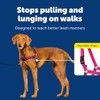 PetSafe Easy Walk Arnés para Perro, Anti tirones, Frambuesa/Gris, M