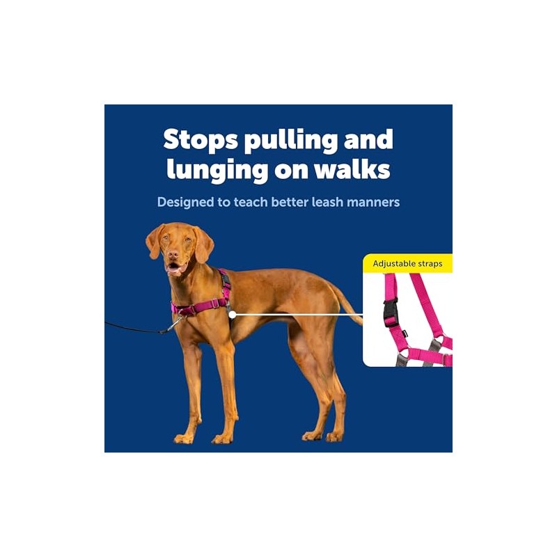PetSafe Easy Walk Arnés para Perro, Anti tirones, Frambuesa/Gris, M