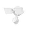 GLOBE Electric 17000221 19W LED Integrated Solar Powered Motion Activated