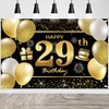 IMISI 29th Birthday Banner & Decorations for Party