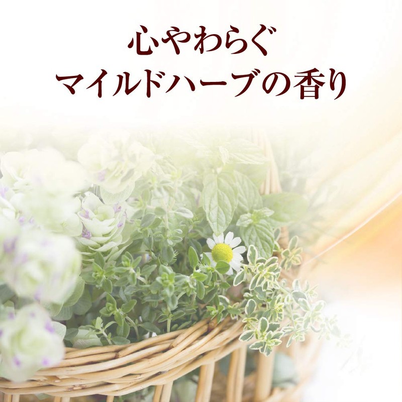 50 no Megumi Hair and Scalp Hydrating Shampoo Refill 11.2
