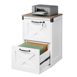 DEVAISE 2 Drawer File Cabinet with Lock, Wood Farmhouse Filing Cabinet for Home Office, Printer Stand Fits Letter and A4 Size, White