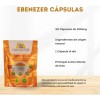 Ebenezer Bio Life 60 Cápsulas 1 Pieza