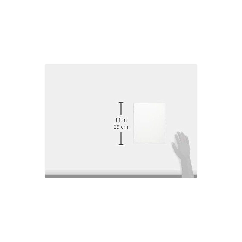 Nakabayashi CTDP-2L-120-W File, Ultra Transparent Pocket Album, Black Mat, 2L