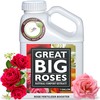Great Big Roses – Soil and Rose Fertilizer Booster to