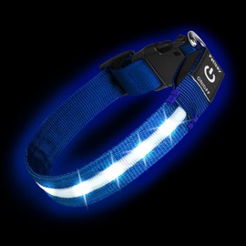 PetIsay Light up Dog Collar - High Visibility & Durable Nylon Material - USB C Rechargeable & Waterproof LED Dog Collar for Night Walking,Lighted Dog Collars Glow in The Dark Flashing(Blue,Small)