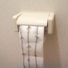 Novelty Toilet Roll - Barbed Wire