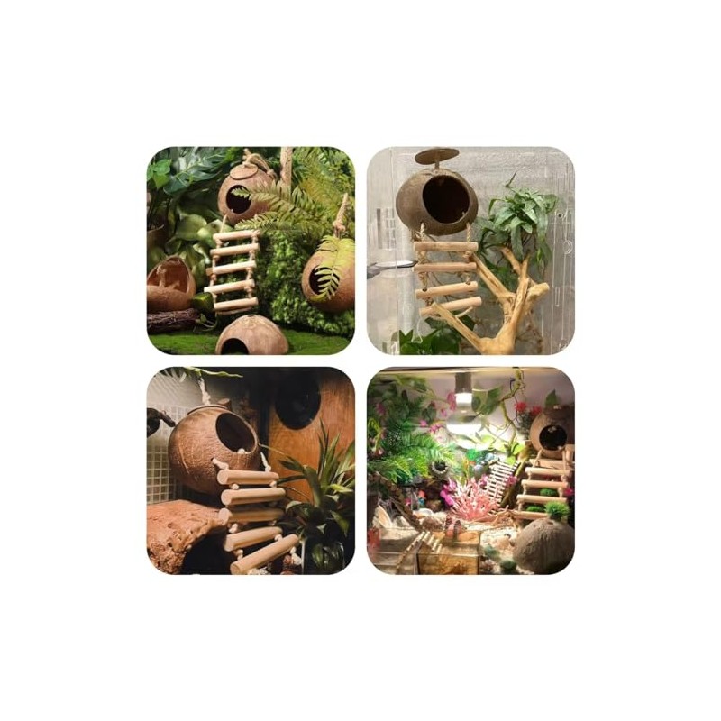10PCS Crested Gecko Tank Accessories, Reptile Plants Bridge Vines, Coconut