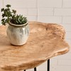 WELLAND Natural Edge End Table, Wood Side Table, Nightstand, Plant