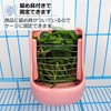 Asdays Rabbits Timothy Grass Pot Feeder Small Animal Guinea Pig