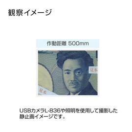 Hozan Lens Focal Length (Equivalent to 2.0 inches (50 mm) Fixed, Change Working Distance to Adjust Magnification, C-Mount, Working Distance: 500mm-∞, L-600-50