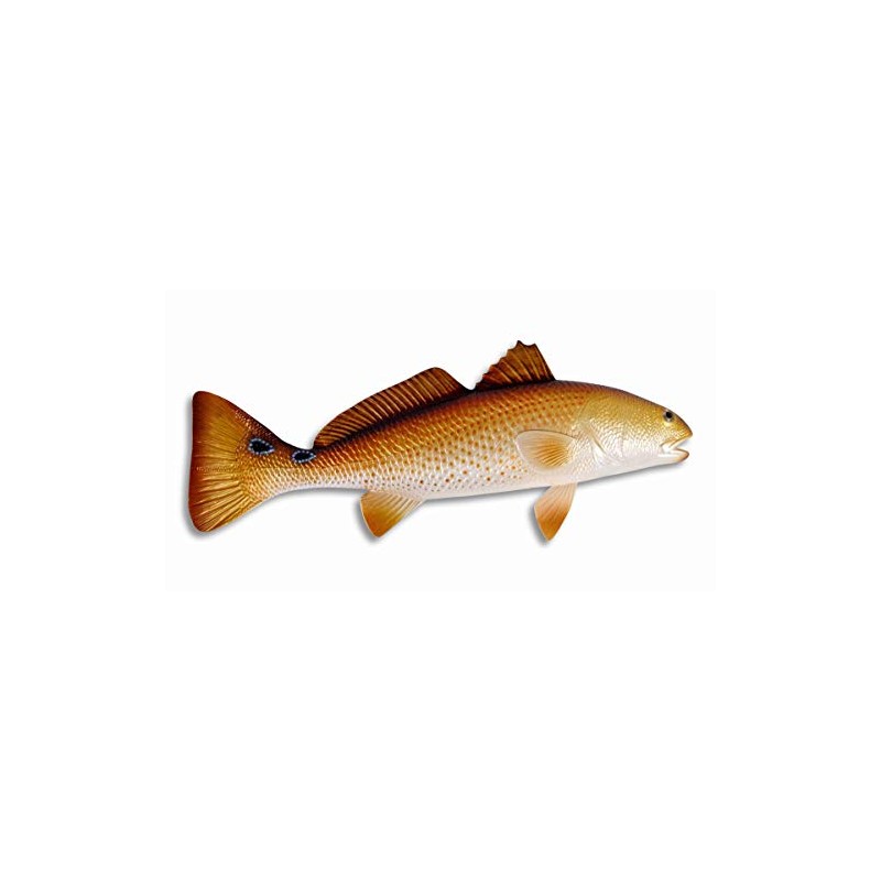 Handpainted Large Red Drum Fish Ocean Restaurant Wall Mount Decor