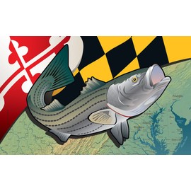 Maryland Rockfish Door Mat by Joe Barsin, 30x18