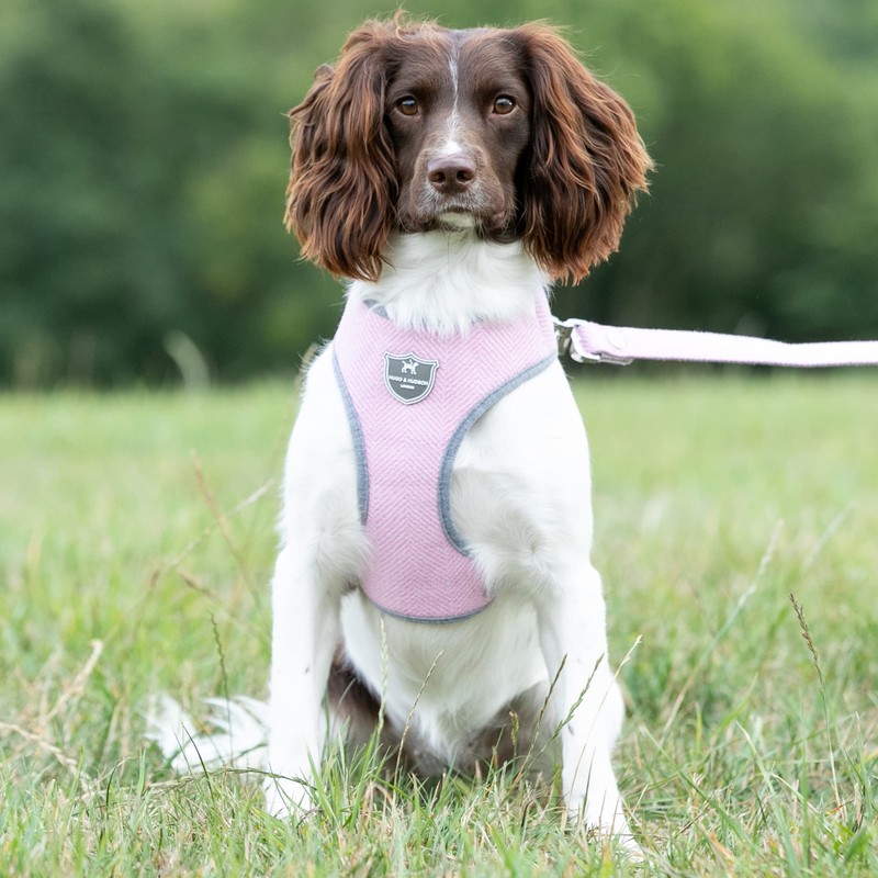 HUGO & HUDSON Tweed Dog Harness No Pull Adjustable Rear