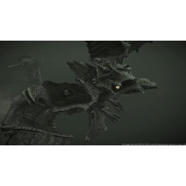 No Name Shadow of The Colossus