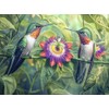 CALVENDO Puzzle Hummingbirds | Size