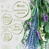 Gifugi 45PCS Mix Eucalyptus Stems & Lavender Flowers Bundles for