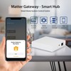 Matter Smart Wired Hub Gateway for Home Automation, Thread &