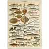 MyPuzzle Fish for All, Vintage Art Poster, Adolphe Millot -