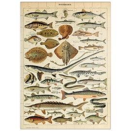 MyPuzzle Fish for All, Vintage Art Poster, Adolphe Millot - Premium 100 Piece Puzzle - MyPuzzle Special Collection by Havana Puzzle Company
