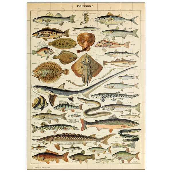 MyPuzzle Fish for All, Vintage Art Poster, Adolphe Millot -