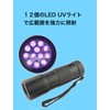 Black Light, UV Light, Ultraviolet Light, Invisible Dirt and Anisakis