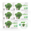 [5+1][180 packets] About Nature Curly Kale Powder Organic Freeze Dried