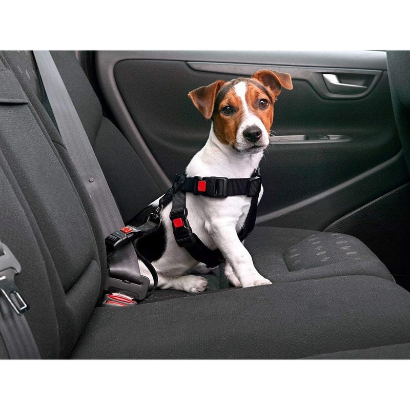 Karlie 57023 Car Safety Harness L 50 - 70 cm