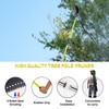 TGrasol 30 FT Manual Pole Saw for Tree Trimming, Extendable