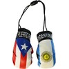 Puerto Rico and Argentina - Mini Boxing Gloves