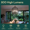 ALAMPEVER 6 Pack Chandelier Light Bulbs 100W Equivalent, 800LM E26