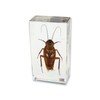 REALBUG Cockroach Paperweight (2.9x1.6x1)