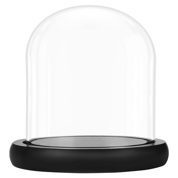 Belle Vous Glass Dome Cloche Bell Jar with Black Wooden