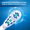 Oral-B Deep Clean Battery Powered Toothbrush Replacement Brush Heads Refill,