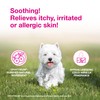 Douxo S3 Calm Shampoo, Contains 0.75% Ophytrium, Soothing, For Itchy,