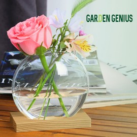 Garden Genius Propagation Station Plant Terrarium with Wooden Base – Single Glass Vase for Hydroponic Plants & Flowers | Ideal for Desks, Shelves, Windowsills | Home & Office Decor for Plant Lovers