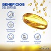 Niacin Max | Niacinamida (Nicotinamida), Resveratrol y Omega 3 |