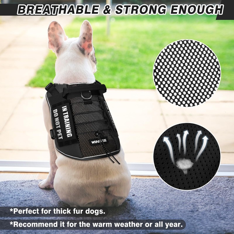 WINSEE Service Dog in Training Mesh Harness with 10 Pet