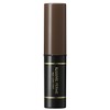 Ferm Gray Hair Cover Stick 02 Natural Brown