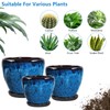 Ceramic Plant Pots With Saucer & Drainage Hole, 6 inch