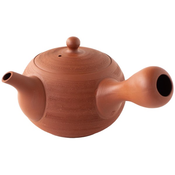 Tokoname Ware Stone Dragon Kiln Teapot for One Person Red