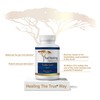 True Healing Naturals - TrueBio-Spore - Probiotic Supplement - Resilient