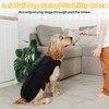 LeleTail Adjustable Back Support for Medium Dogs - Joint Support