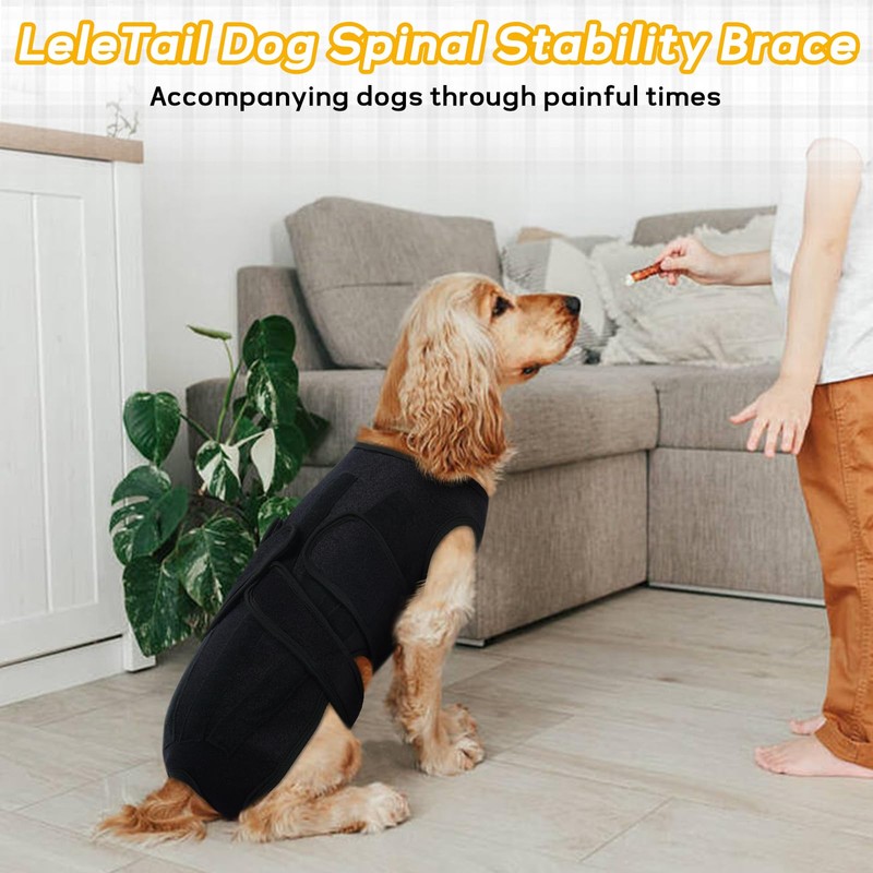 LeleTail Adjustable Back Support for Medium Dogs - Joint Support